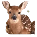 Стикер оленята