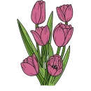 Стикер Tulips