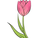 Стикер Tulips