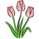 Стикер Tulips