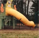 Crazy Memes