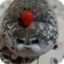 Стикер Тюленчик