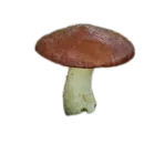 Стикер Food