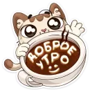 Котик