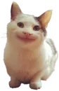 Стикер Cat Vibes