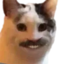 Стикер Cat Vibes