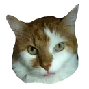 Стикер Вилка