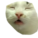 Стикер Вилка