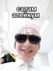 Vini и друзья