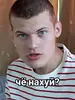 Стикер Vini и друзья