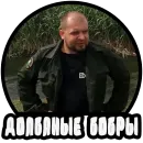 Стикер Vizhivalovo