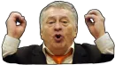 Стикер Жириновский