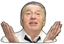 Стикер Жириновский