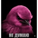 Стикер Birds Memes