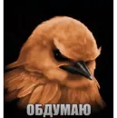 Стикер Birds Memes