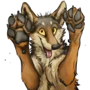 Стикер Волк-Койот
