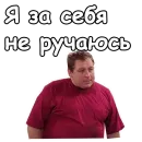 Стикер Воронины