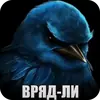 Birds Memes