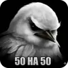 Стикер Birds Memes