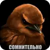 Стикер Birds Memes