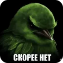Стикер Birds Memes
