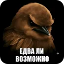 Стикер Birds Memes