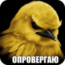 Стикер Birds Memes