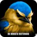 Стикер Birds Memes