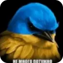 Стикер Birds Memes
