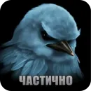 Стикер Birds Memes