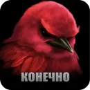 Стикер Birds Memes