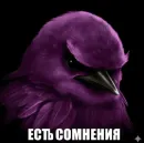 Стикер Birds Memes