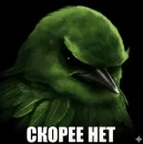 Стикер Birds Memes