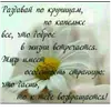 Стикер ВЛВ