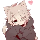 Коричневый котенок 2