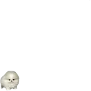 Стикер CHIQUITOS