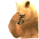 Стикер WildCraft