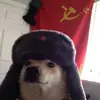 We Are Communist