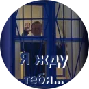 Стикер Где Навальный?