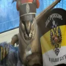 Белый пак