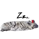 Стикер Whoooop