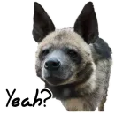 Стикер Whoooop