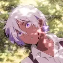 Мемуары ванитаса