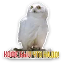 Стикер Недомашние животные