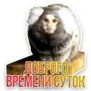 Стикер Недомашние животные