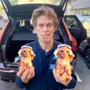 Стикер Уиллем Дефо