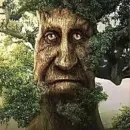 Стикер Мудрое мистическое дерево