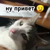 Плод скуки будних дней