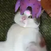 Стикер Плод скуки будних дней