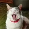 Стикер Плод скуки будних дней